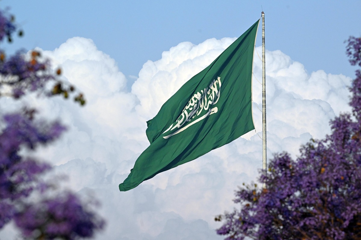 Saudi Visit Visa Status Now Quick and Easy to Check
